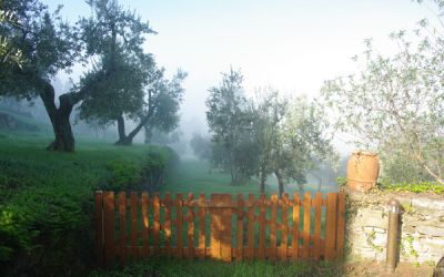 Fondazione Primo Conti