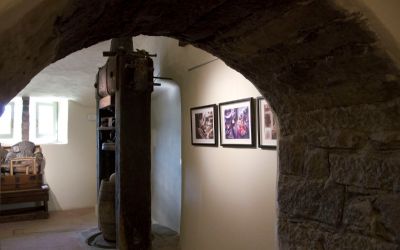 Inaugurazione dei nuovi spazi espositivi
