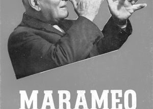 copertina libro "marameo con dieci dita" di michele campana