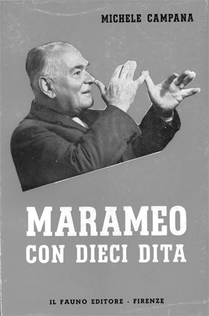 copertina libro "marameo con dieci dita" di michele campana