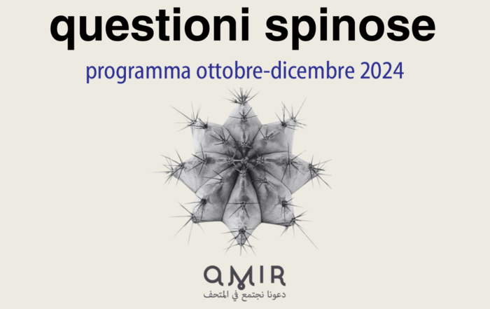 PROGETTO AMIR-QUESTIONI SPINOSE. PROGRAMMA OTTOBRE-DICEMBRE 2024