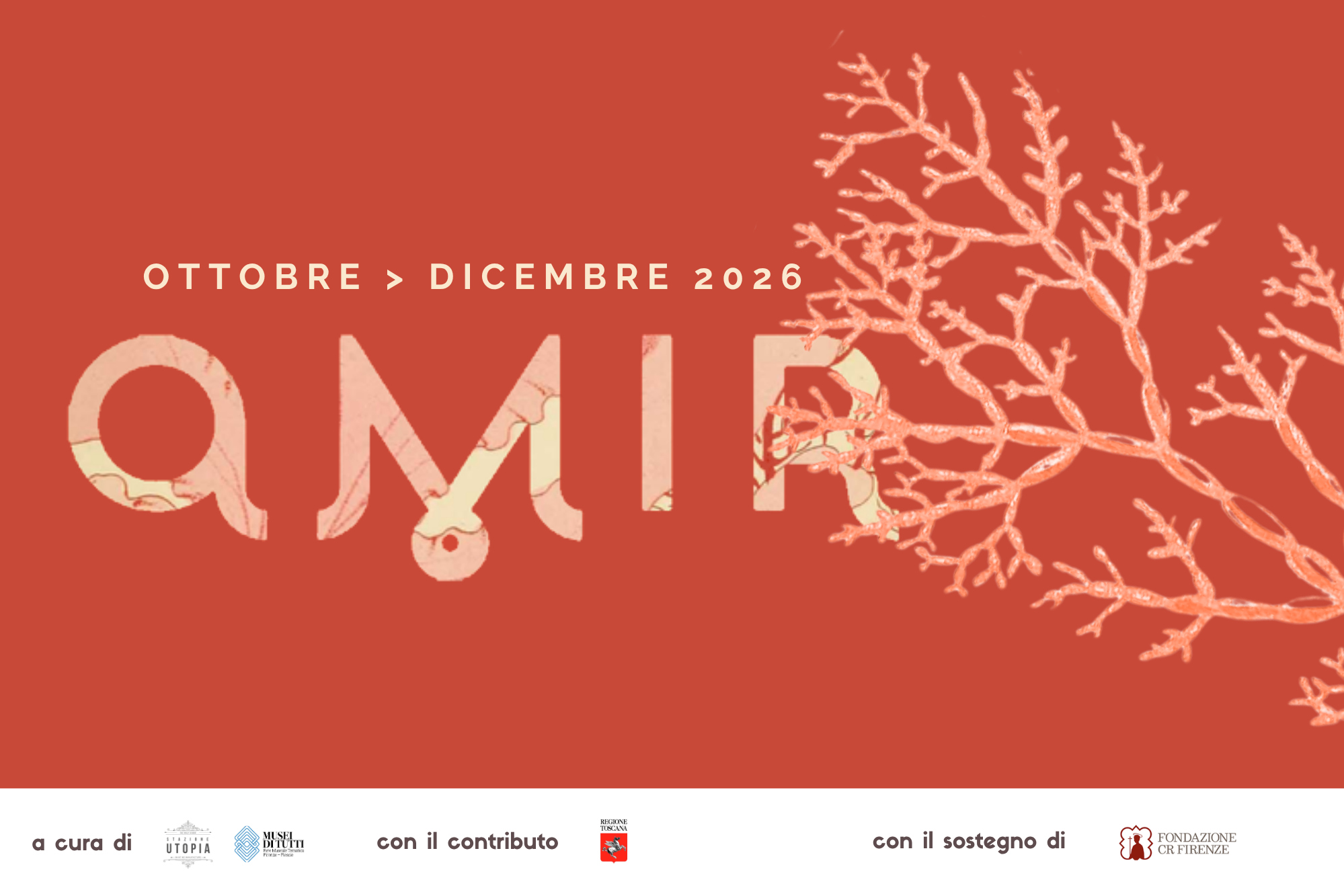 AMIR D'AUTUNNO VISITE OTTOBRE - DICEMBRE 2026